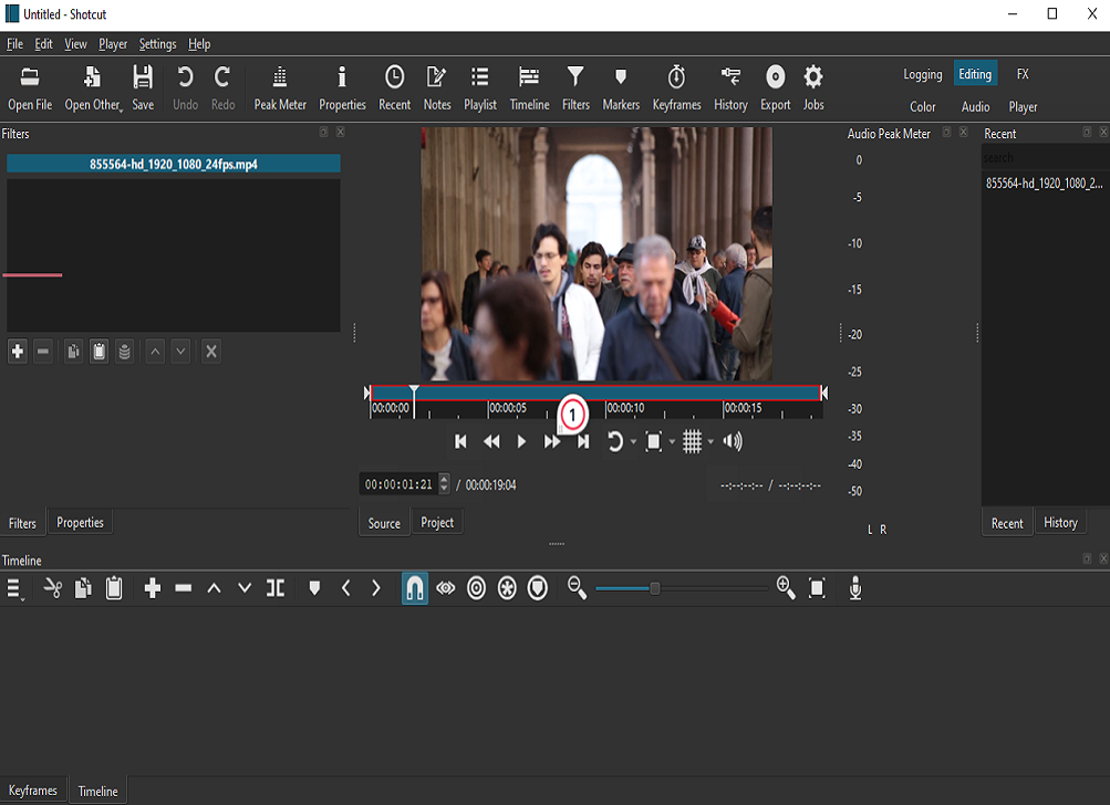 Video Editing 4